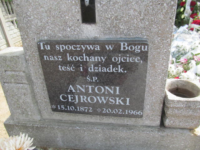 Antoni Cejrowski 1872 Pączewo - Grobonet - Wyszukiwarka osób pochowanych